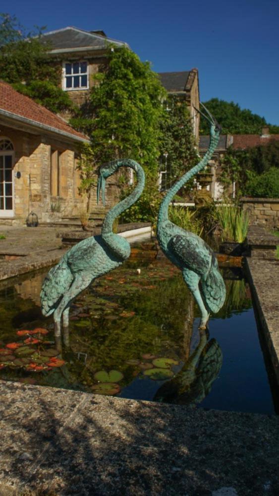 Maiden Newton West Compton Manor Bed & Breakfast エクステリア 写真